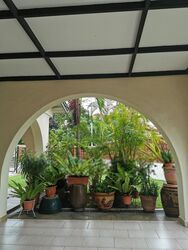 Pasir Ris Beach Park (D18), Terrace #576152571